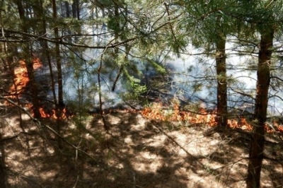 Борівське, пожежа