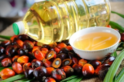 Пальмова олія