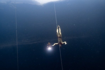 Андрій Хветкевич