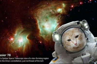 "Селфі в космосі" від NASA