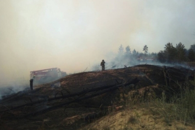 На Луганщині горить ліс уздовж лінії розмежування 