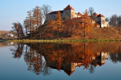 Свірзький замок