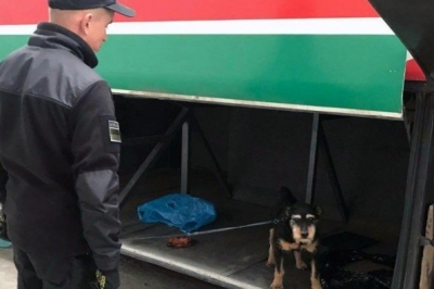 Собака виявив марихуану в автобусі