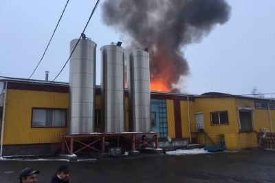 Пожежа на маслозаводі, Вінниччина