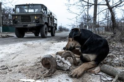 Война на Донбассе против российской оккупации в объективе итальянского фоторепортера