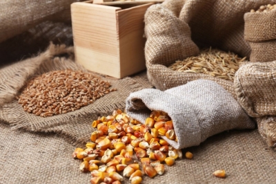 Насіння, крупи в мішках