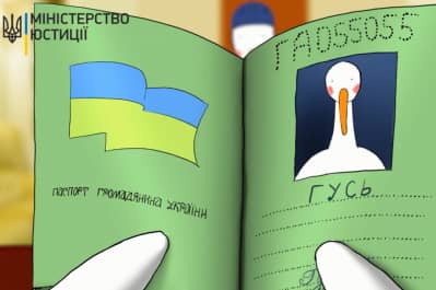 Гусь идет на выборы