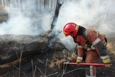 Поблизу "Биківнянських могил" – масштабна пожежа