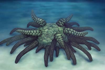 Вимерла істота Sollasina cthulhu