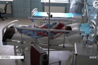 На Буковине карпатская гадюка укусила 9-летнего мальчика
