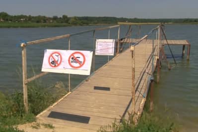 На Кіровоградщині зафіксували лептоспіроз