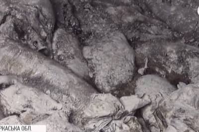 Скотомогильник