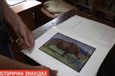 Волохатий носоріг