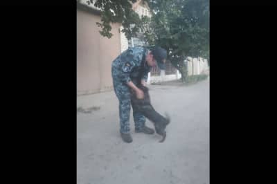  Чуліба та собака Джессі