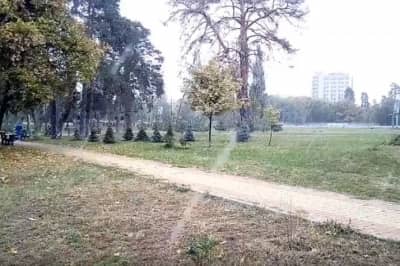 Первый снег в Киеве