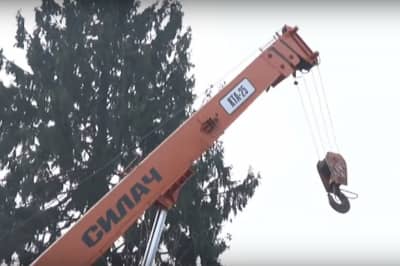 Елка на Буковине