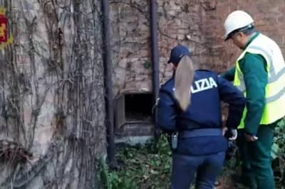 Картину Климта похитили в 1997 году