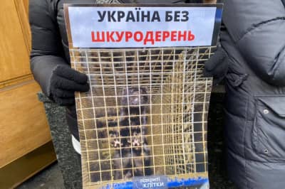 Акція "Україна без шкуродерень!"