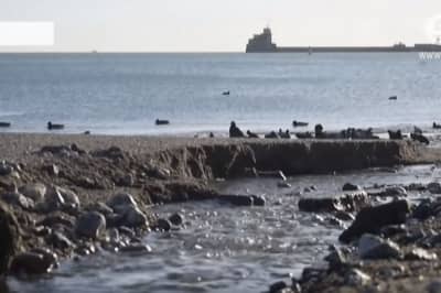 Заяви про воду в Крим