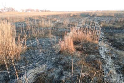 Пожежу ліквідовано
