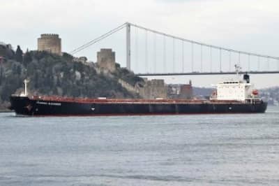  "Panamax Alexander"