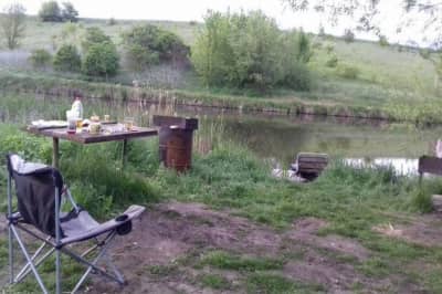 Стрілянина на Житомирщині: місце вбивства