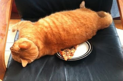 "Приятного аппетита!"