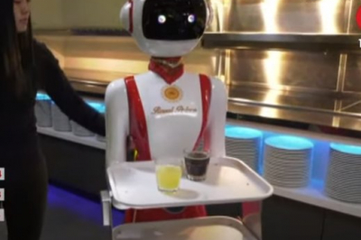 Робот-офіціант
