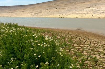 Міжгірне водосховище