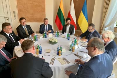 Украина, Литва и Польша образовали "Люблинский треугольник" 