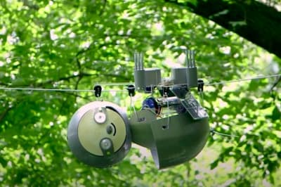 Робот-лінивець