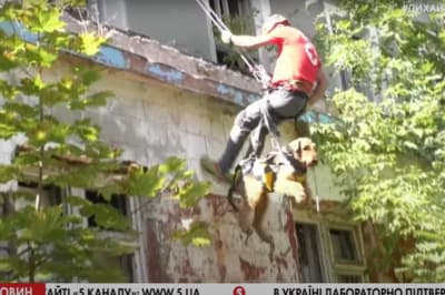 Іспит пошукових собак