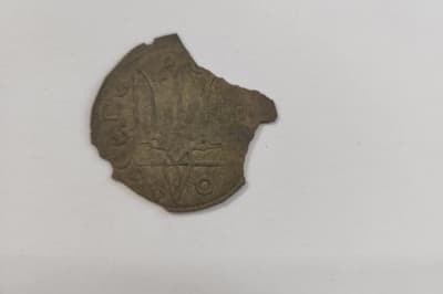 На Житомирщине нашли серебряные монеты времен Киевской Руси