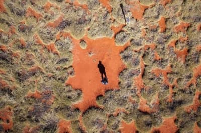 Відьомські кола