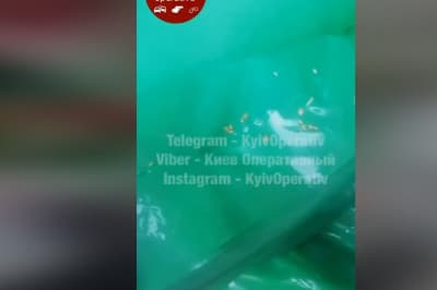 Опарыши в сухпайку