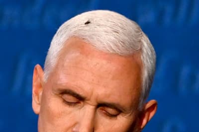 Муха на голове Майкла Пенса