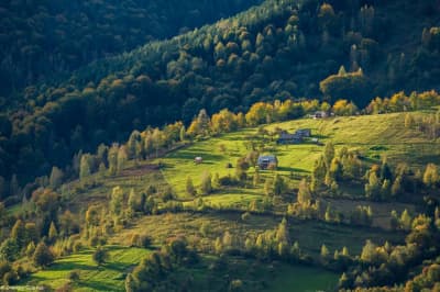 Карпаты осенью