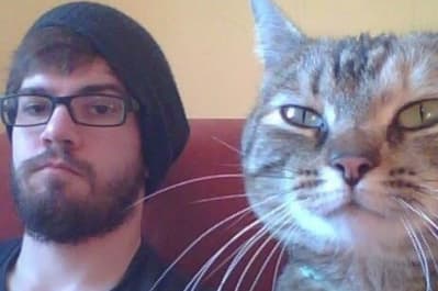 Кот и человек - идеальная пара