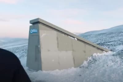 Компания Орео