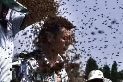 Кадр из видео