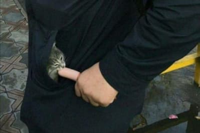 Щось дуже дивне