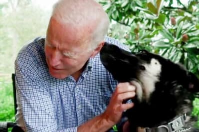 Байден и его собаки