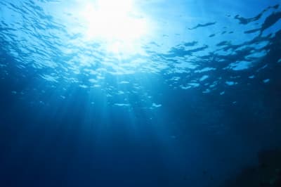 Морские воды 