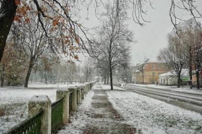Сніг