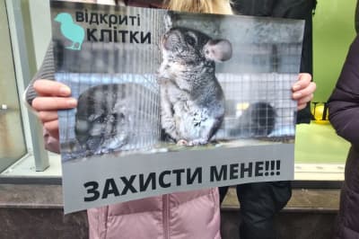 У Києві активісти вийшли на захист тварин