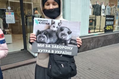 В Киеве активисты вышли на защиту животных