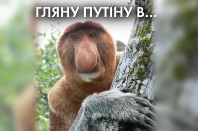 "Час Ч" – просто перестати стріляти не вийшло
