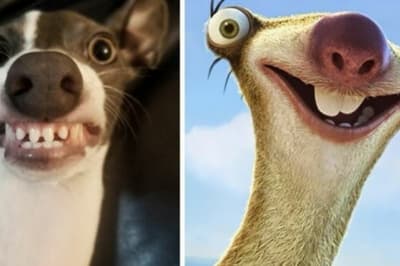 Чарівна посмішка