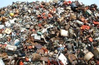 Знайди кота