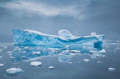 Айсберг
